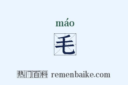 毛是什么意思的图片